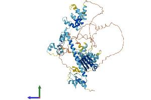 AlphaFold protein structure predicition of Human Recombinant ANKZF1 Protein, UniprotID Q9H8Y5