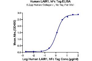 Immobilized Human Collagen I, No Tag at 2 μg/mL (50 μL/well) on the plate. (LAIR1 Protein (AA 22-163) (Fc Tag))