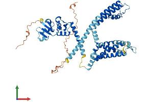 AlphaFold protein structure predicition of Mouse Recombinant Kcnf1 Protein, UniprotID Q7TSH7