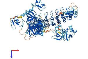 AlphaFold protein structure predicition of Mouse Recombinant Mib2 Protein, UniprotID Q8R516