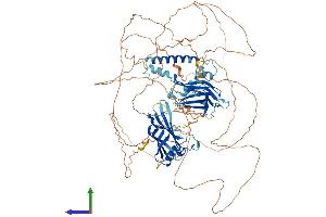 AlphaFold protein structure predicition of Human Recombinant SYTL2 Protein, UniprotID Q9HCH5