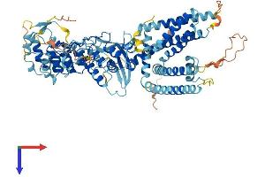 AlphaFold protein structure predicition of Human Recombinant TRPV2 Protein, UniprotID Q9Y5S1