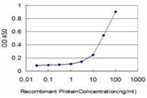 anti-CAMP Responsive Element Binding Protein 5 (CREB5) (AA 1-99) antibody
