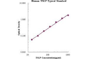 ELISA image for Thymic Stromal Lymphopoietin (TSLP) ELISA Kit (ABIN2472088)