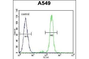 CEP70 Antibody (Center) (ABIN654603 and ABIN2844302) flow cytometric analysis of A549 cells (right histogram) compared to a negative control cell (left histogram). (CEP70 anticorps  (AA 309-338))