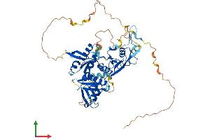 AlphaFold protein structure predicition of Mouse Recombinant Grb7 Protein, UniprotID Q03160