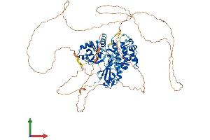 AlphaFold protein structure predicition of Mouse Recombinant Mark2 Protein, UniprotID Q05512
