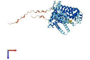 AlphaFold protein structure predicition of Mouse Recombinant Slc11a1 Protein, UniprotID P41251