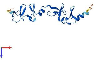 AlphaFold protein structure predicition of Human Recombinant LMO3 Protein, UniprotID Q8TAP4