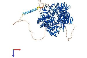 AlphaFold protein structure predicition of Mouse Recombinant Lnpep Protein, UniprotID Q8C129