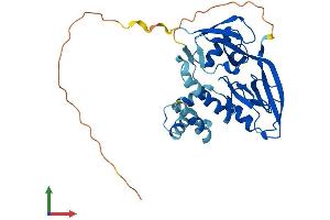 AlphaFold protein structure predicition of Mouse Recombinant Gipc2 Protein, UniprotID Q9Z2H7