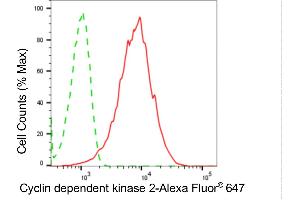 Flow cytometric analysis of cyclin dependent kinase 2 expression in HepG2 cells using cyclin dependent kinase 2 antibody (ABIN7798212), 1:2,000). (Recombinant CDK2 anticorps)