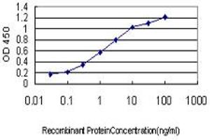 Detection limit for recombinant GST tagged HOXB1 is approximately 0.
