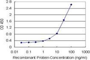 Sandwich ELISA detection sensitivity ranging from 1 ng/mL to 100 ng/mL. (ITFG2 (Humain) Matched Antibody Pair)