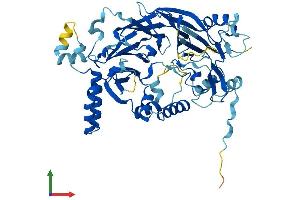 AlphaFold protein structure predicition of Mouse Recombinant Det1 Protein, UniprotID Q9D0A0
