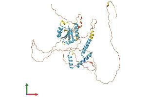 AlphaFold protein structure predicition of Mouse Recombinant Sohlh2 Protein, UniprotID Q9D489