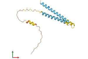 AlphaFold protein structure predicition of Mouse Recombinant Ifitm3 Protein, UniprotID Q9CQW9