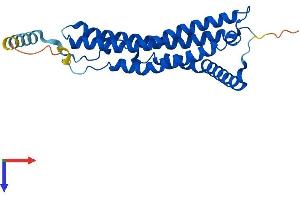 AlphaFold protein structure predicition of Mouse Recombinant Psme1 Protein, UniprotID P97371