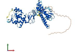 AlphaFold protein structure predicition of Mouse Recombinant Arih2 Protein, UniprotID Q9Z1K6