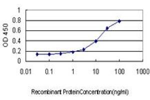 Detection limit for recombinant GST tagged TGIF2 is approximately 0.