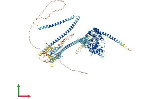AlphaFold protein structure predicition of Human Recombinant TBC1D2 Protein, UniprotID Q9BYX2