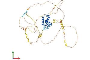 AlphaFold protein structure predicition of Human Recombinant FOXD1 Protein, UniprotID Q16676