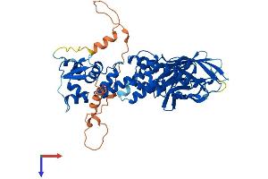 AlphaFold protein structure predicition of Human Recombinant BTBD3 Protein, UniprotID Q9Y2F9