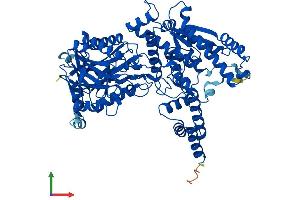 AlphaFold protein structure predicition of Human Recombinant NADSYN1 Protein, UniprotID Q6IA69