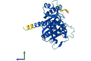 AlphaFold protein structure predicition of Human Recombinant NUBP1 Protein, UniprotID P53384