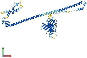 AlphaFold protein structure predicition of Human Recombinant TRIM38 Protein, UniprotID O00635