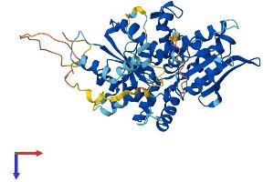 AlphaFold protein structure predicition of Human Recombinant NARF Protein, UniprotID Q9UHQ1