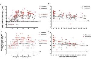 Longitudinal dynamics of neutralizing and anti-N antibody responses to SARS-CoV-2 infection from outpatient and hospitalized individuals.