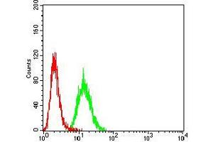 Flow cytometric analysis of Hela cells using ACVR1 mouse mAb (green) and negative control (red).