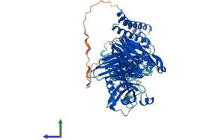 AlphaFold protein structure predicition of Human Recombinant CAPN7 Protein, UniprotID Q9Y6W3