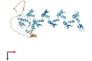 AlphaFold protein structure predicition of Human Recombinant ZNF569 Protein, UniprotID Q5MCW4