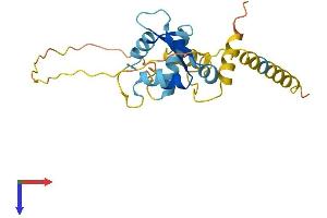 AlphaFold protein structure predicition of Human Recombinant MAGEH1 Protein, UniprotID Q9H213