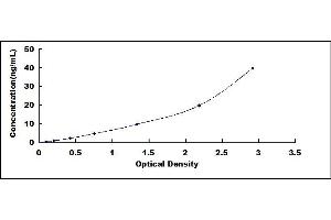 Typical standard curve (CYP2C18 Kit ELISA)
