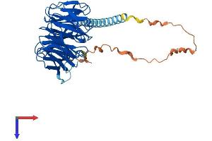 AlphaFold protein structure predicition of Human Recombinant POC1A Protein, UniprotID Q8NBT0