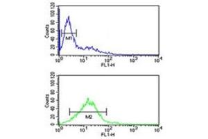 Phospholamban antibody flow cytometric analysis of Jurkat cells (green) compared to a negative control (blue).