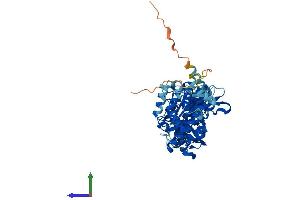 AlphaFold protein structure predicition of Human Recombinant ATP6V1B1 Protein, UniprotID P15313