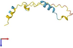 AlphaFold protein structure predicition of Mouse Recombinant Pkig Protein, UniprotID O70139