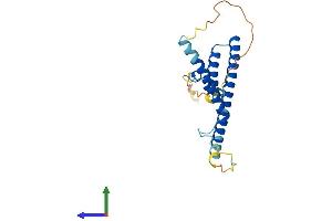 AlphaFold protein structure predicition of Mouse Recombinant Rilpl2 Protein, UniprotID Q99LE1