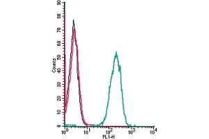 Cell surface detection of Tetraspanin-3 by indirect flow cytometry in live intact human  monocytic leukemia cell line: + goat-anti-rabbit-FITC. (Tetraspanin 3 anticorps  (Extracellular))