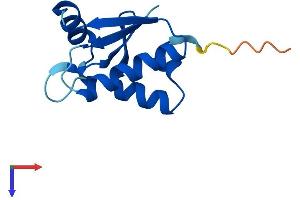 AlphaFold protein structure predicition of Human Recombinant SH3BGRL2 Protein, UniprotID Q9UJC5