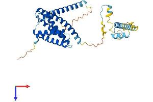 AlphaFold protein structure predicition of Mouse Recombinant Igbp1 Protein, UniprotID Q61249