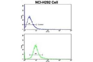 Flow Cytometry (FACS) image for anti-Cullin 5 (CUL5) antibody (ABIN3003301)