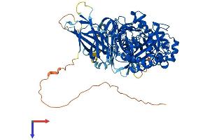Endo-beta-N-Acetylglucosaminidase (ENGASE) (AA 1-743) protein (His tag)
