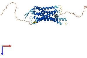 AlphaFold protein structure predicition of Mouse Recombinant Grpr Protein, UniprotID P21729