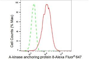 Flow cytometric analysis of A-kinase anchoring protein 8 expression in C2C12 cells using A-kinase anchoring protein 8 antibody (ABIN7797434), 1:2,000).