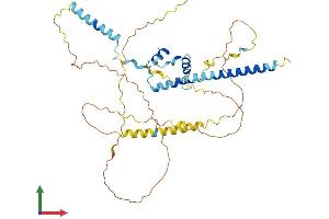 AlphaFold protein structure predicition of Mouse Recombinant Nkap Protein, UniprotID Q9D0F4
